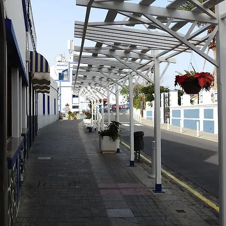 Veroles Agaete (Gran Canaria)